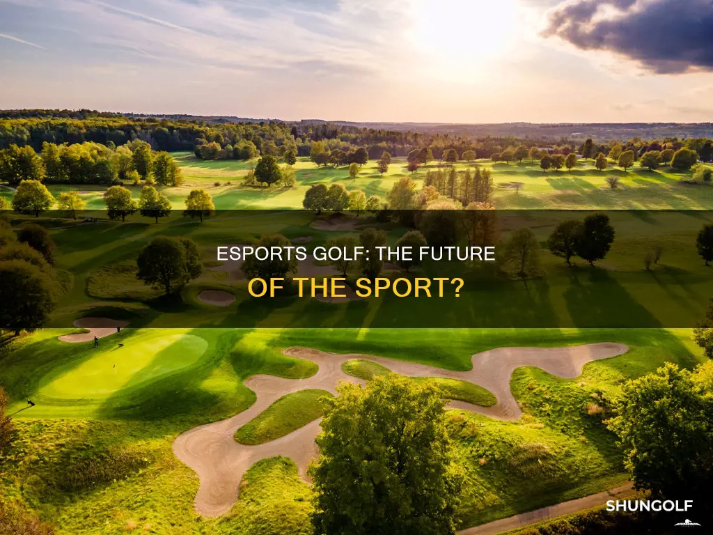 es sports golf