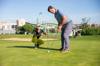 golf ball