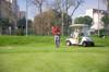 golf ball