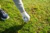 golf ball