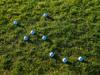 golf ball