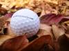 golf ball
