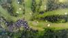 golf course