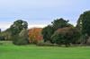 golf course