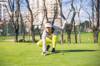 golf course
