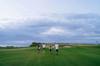 golf course