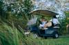golf drive