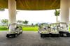 golf drive