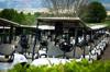golf drive