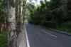 golf drive
