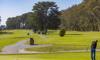 golf hole