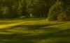 golf hole