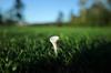golf hole