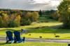 golf open