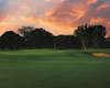 golf open
