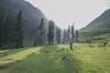 golf open