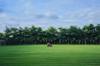 golf open