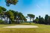 golf open
