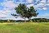 golf open