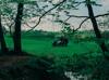 golf open