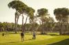 golf play