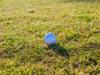 golf shot
