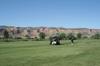 golf tournament