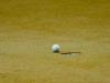 golf tournament
