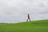 golf wear