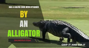 Golfers vs. Gators: Shocking Alligator Attacks on the Green