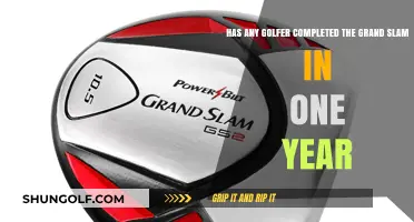 Has Any Golfer Achieved the Grand Slam in a Single Year?