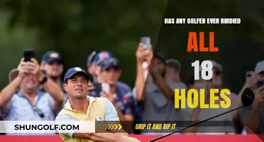 Perfect Round: Has Any Golfer Ever Birdied All 18 Holes?