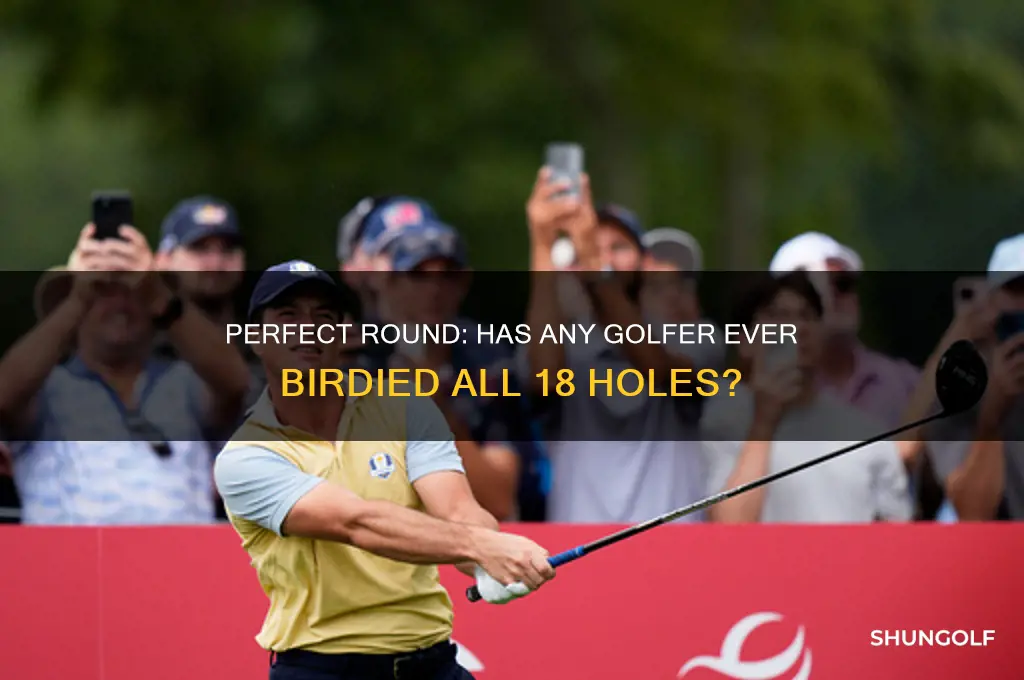 has any golfer ever birdied all 18 holes