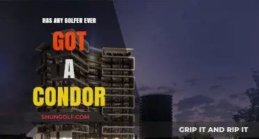 Has Any Golfer Ever Achieved a Condor? The Ultimate Golf Feat