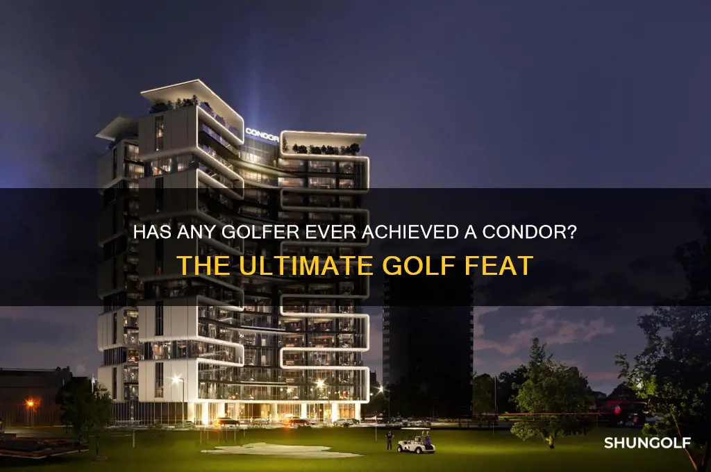 has any golfer ever got a condor