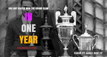 Can a Golfer Achieve the Grand Slam in a Single Year?