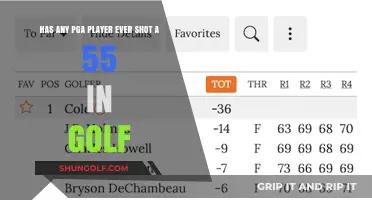 Unbelievable Golf Feats: Has a PGA Player Ever Shot 55?