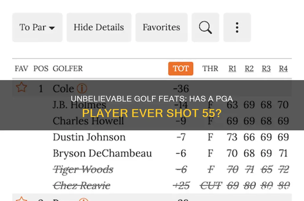 has any pga player ever shot a 55 in golf