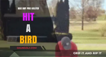 Pro Golfer Hits Bird: Fact or Fiction? Uncovering the Truth