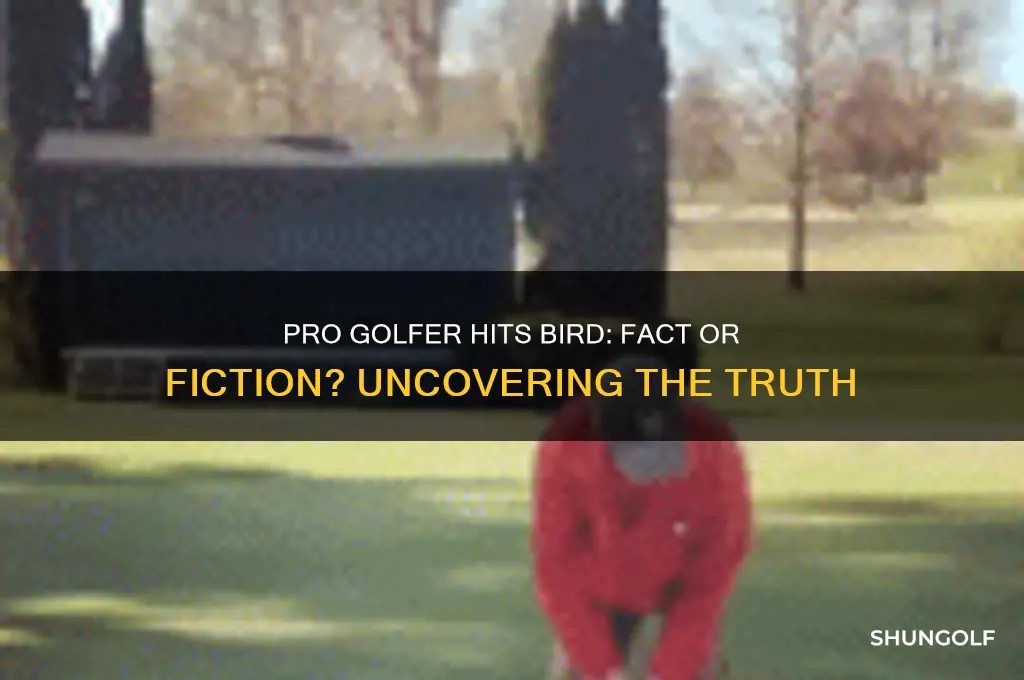 has any pro golfer hit a bird