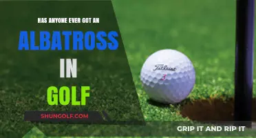 Has Anyone Ever Achieved an Albatross in Golf?