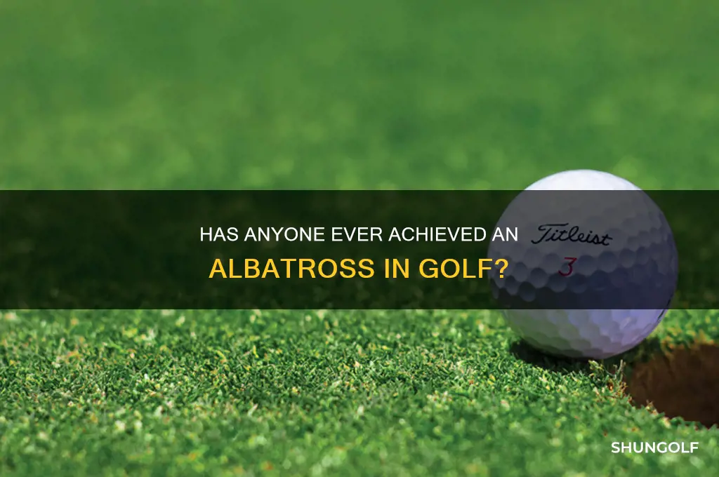 has anyone ever got an albatross in golf