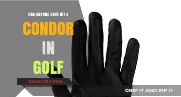 Has Anyone Ever Hit a Condor in Golf?