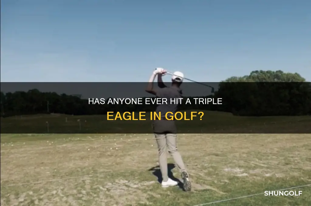 has anyone ever hit a triple eagle golf