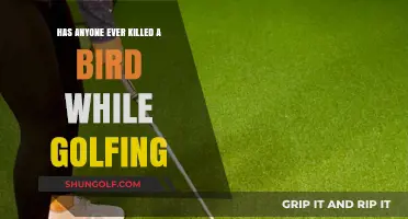 Golf and Bird Safety: Accidental Bird Strikes on the Course