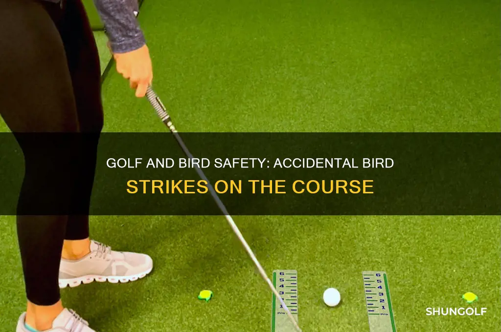 has anyone ever killed a bird while golfing