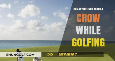 Crows on the Course: Unlikely Golfing Hazards and Accidental Encounters