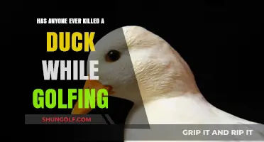 Golf Course Mishaps: Unlikely Duck Encounters and Tragic Outcomes