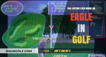 Has Anyone Ever Made an Eagle in Golf? Unveiling the Truth