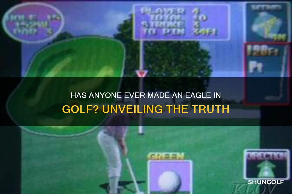 has anyone ever made an eagle in golf